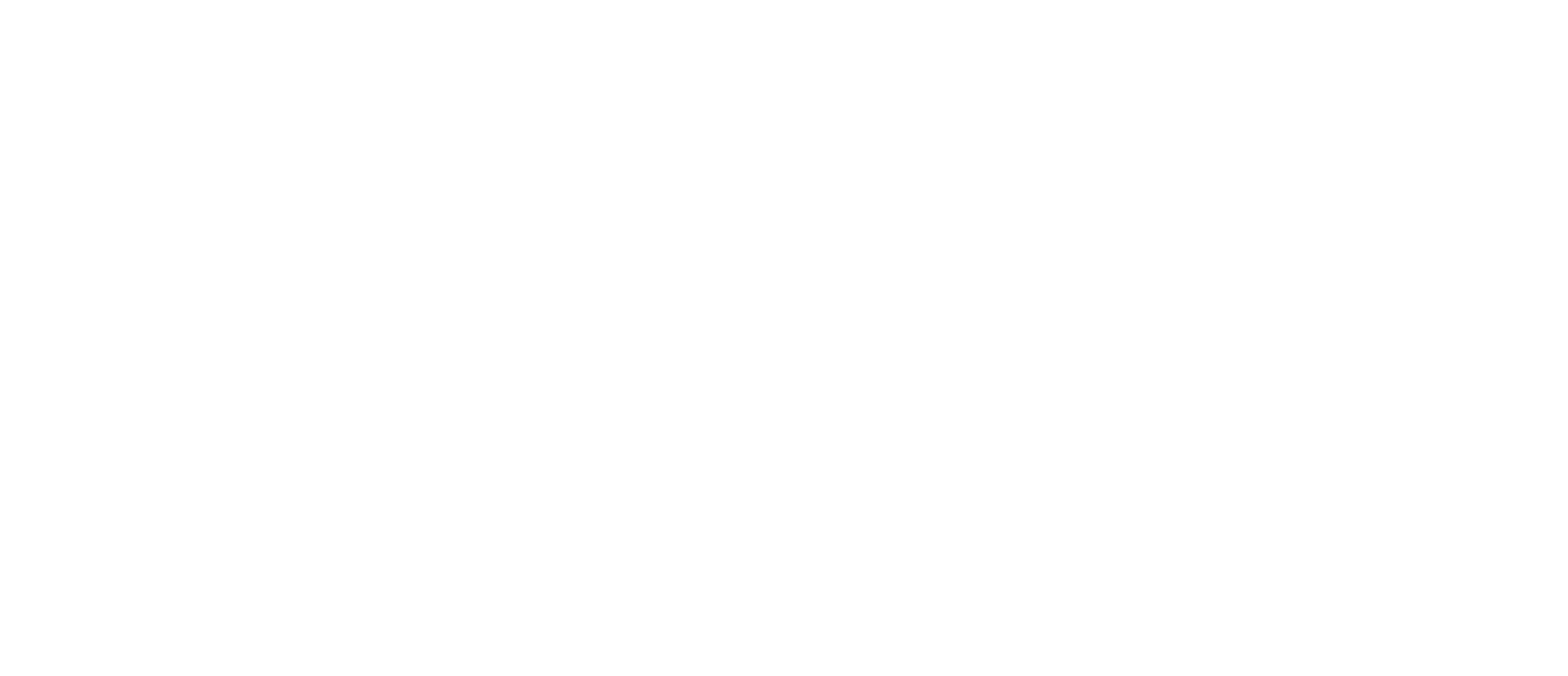 Horizontal-Logo Deronda Corporation white logo